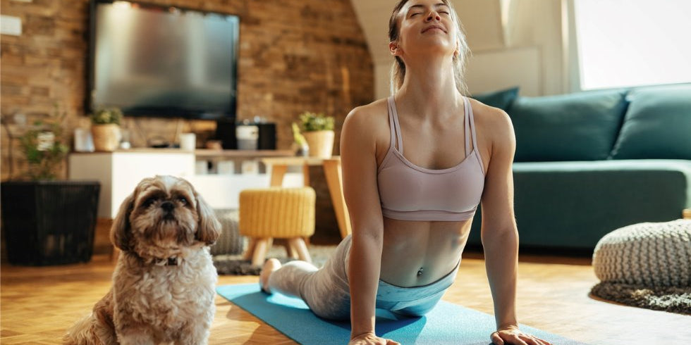 New Energy Old Routine